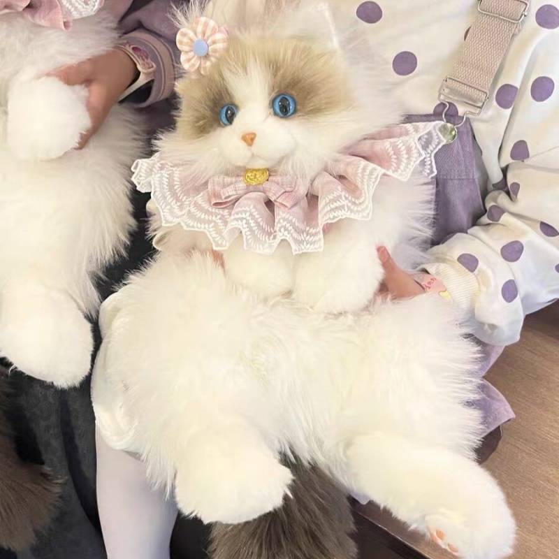 2026 New In Stock Ragdoll Cat  - огляд і ціна Travel Accessories Ideas